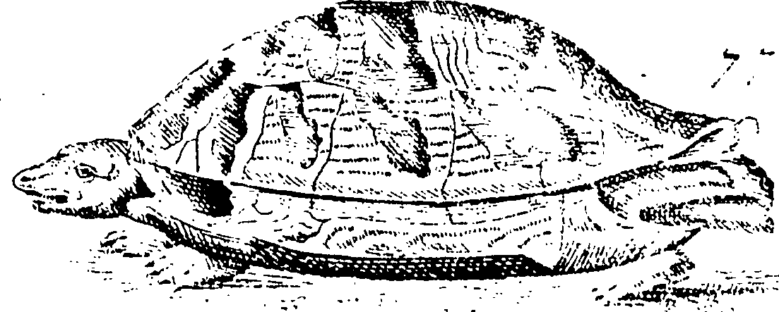 115/115840030000650_0.png