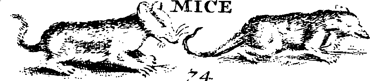 115/115840030000650_2.png