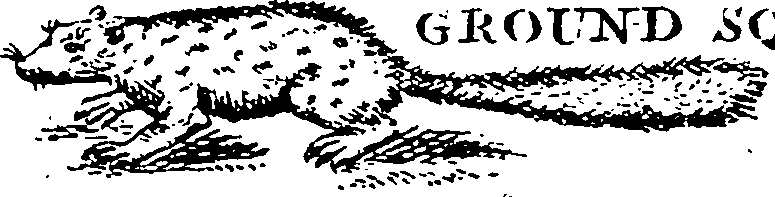 115/115840030000690_2.png