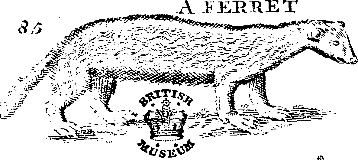 115/115840030000720_1.png