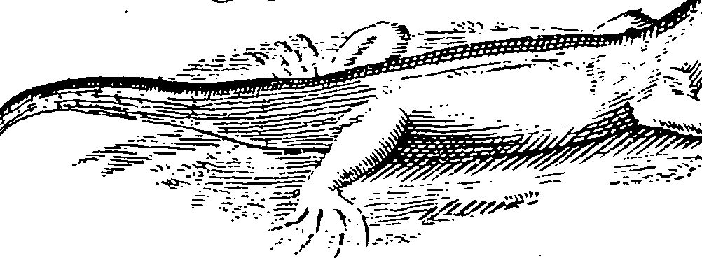 115/115840030000720_2.png