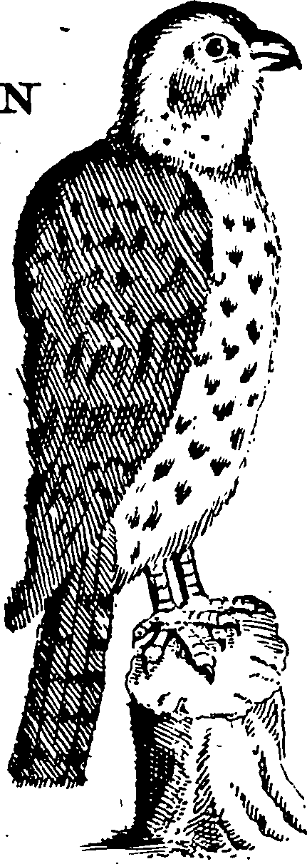 115/115840030000830_1.png