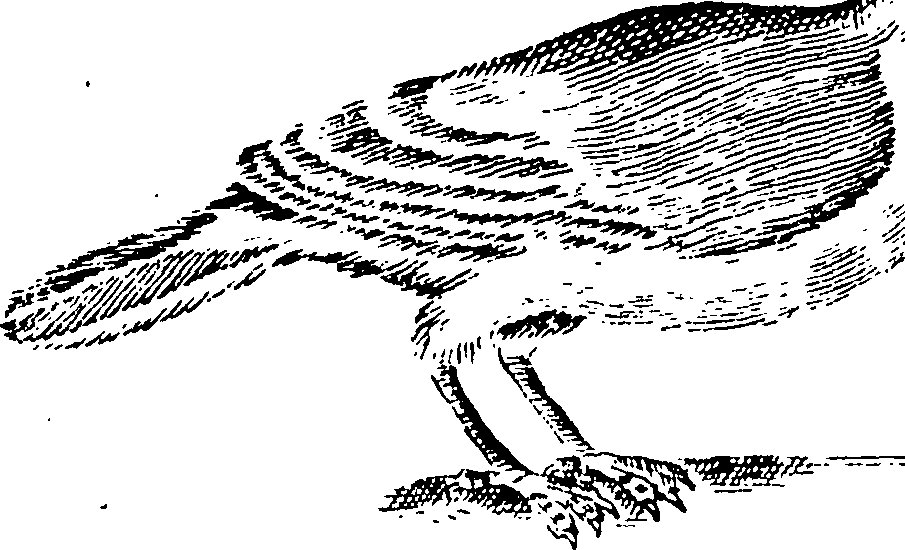 115/115840030000880_0.png