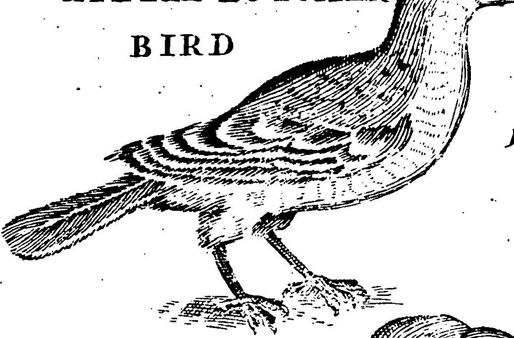 115/115840030000910_1.png