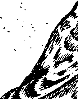 115/115840030001040_1.png