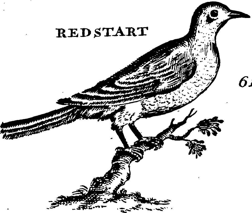 115/115840030001230_0.png