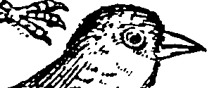 115/115840030001310_0.png