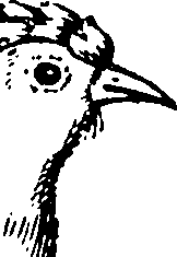 115/115840030001310_1.png