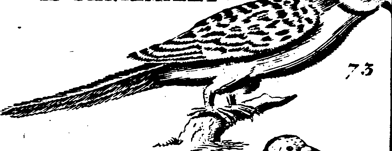 115/115840030001320_1.png