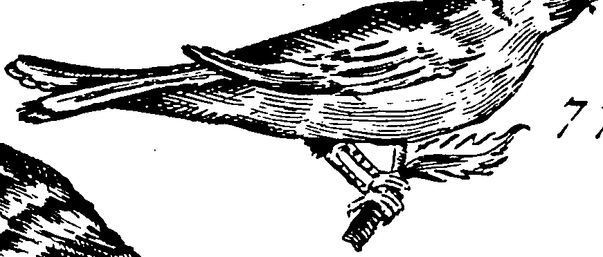 115/115840030001350_1.png