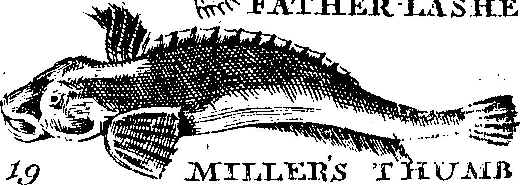 115/115840030001730_0.png