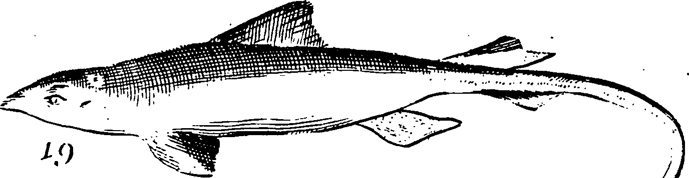 115/115840030001740_0.png