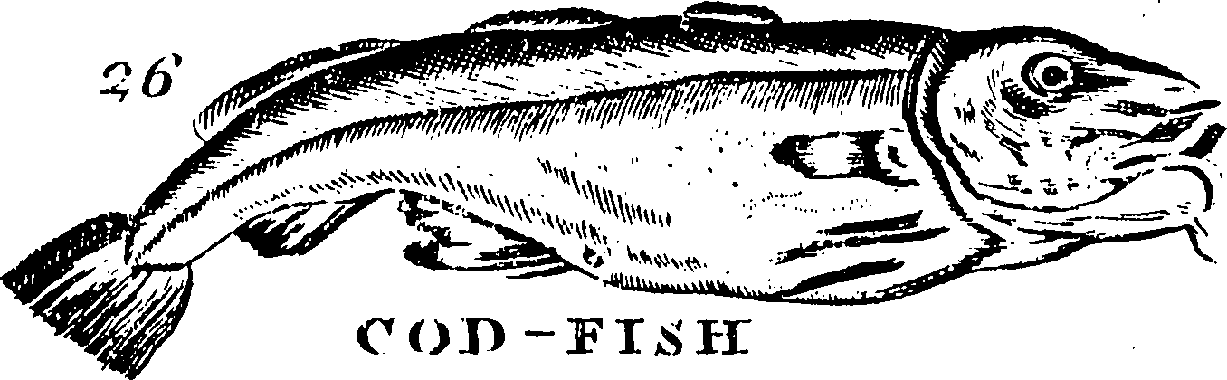 115/115840030001770_0.png