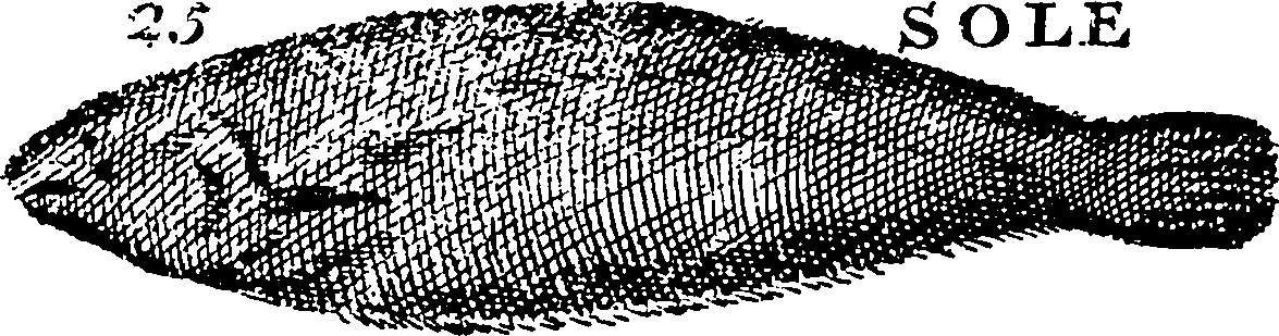 115/115840030001770_1.png
