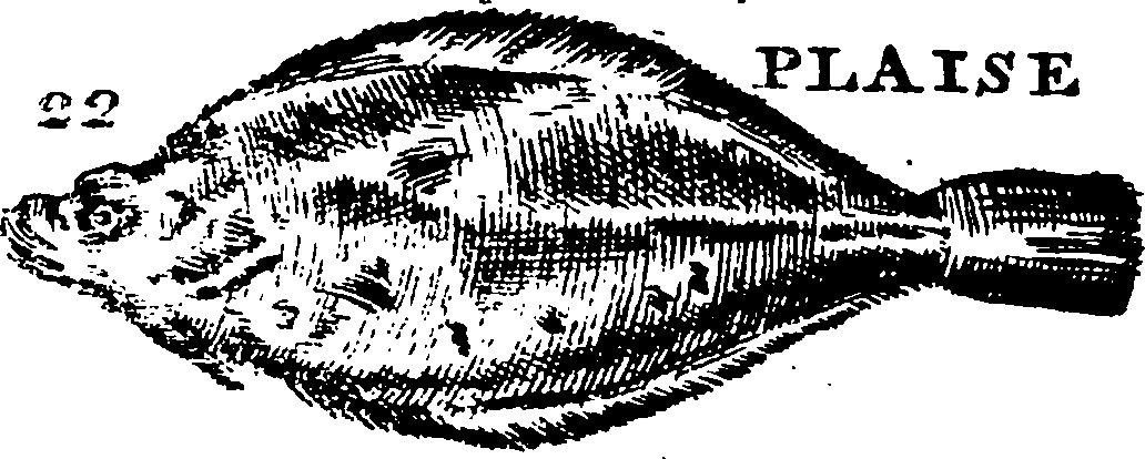 115/115840030001770_3.png