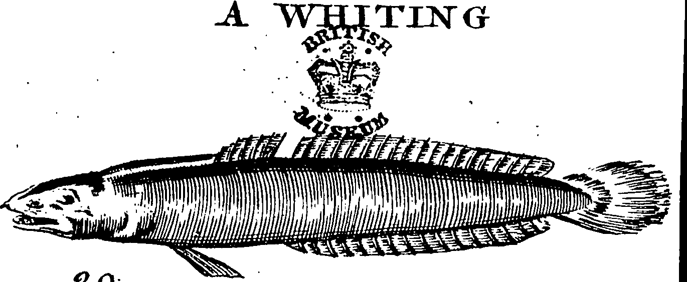 115/115840030001780_0.png