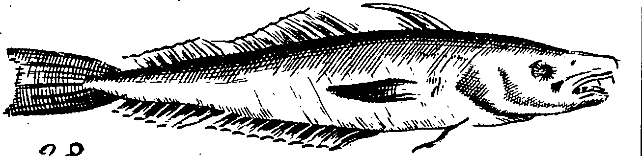 115/115840030001780_1.png