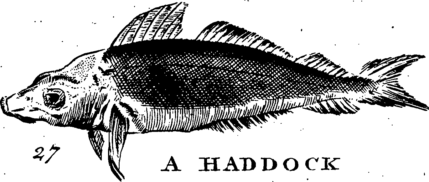 115/115840030001780_2.png