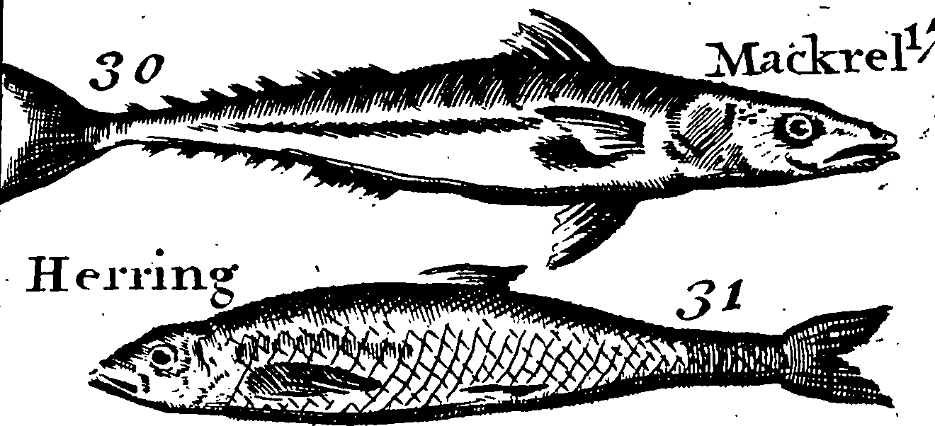 115/115840030001810_2.png