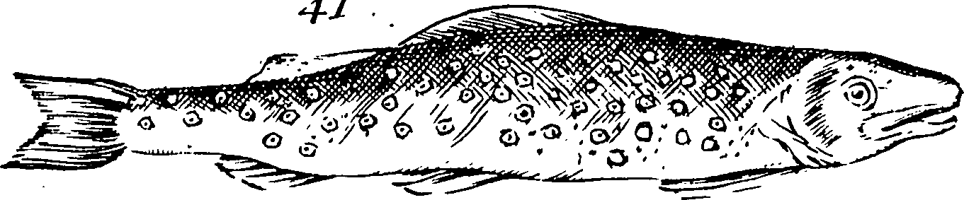 115/115840030001850_0.png