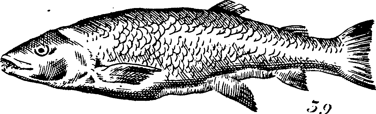 115/115840030001850_2.png