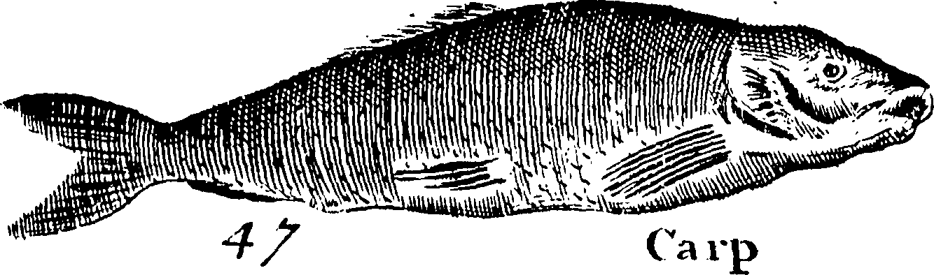 115/115840030001880_0.png