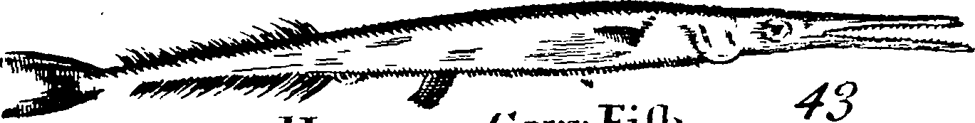 115/115840030001880_2.png