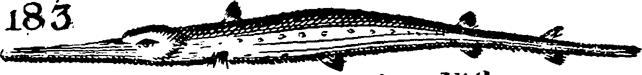 115/115840030001880_3.png