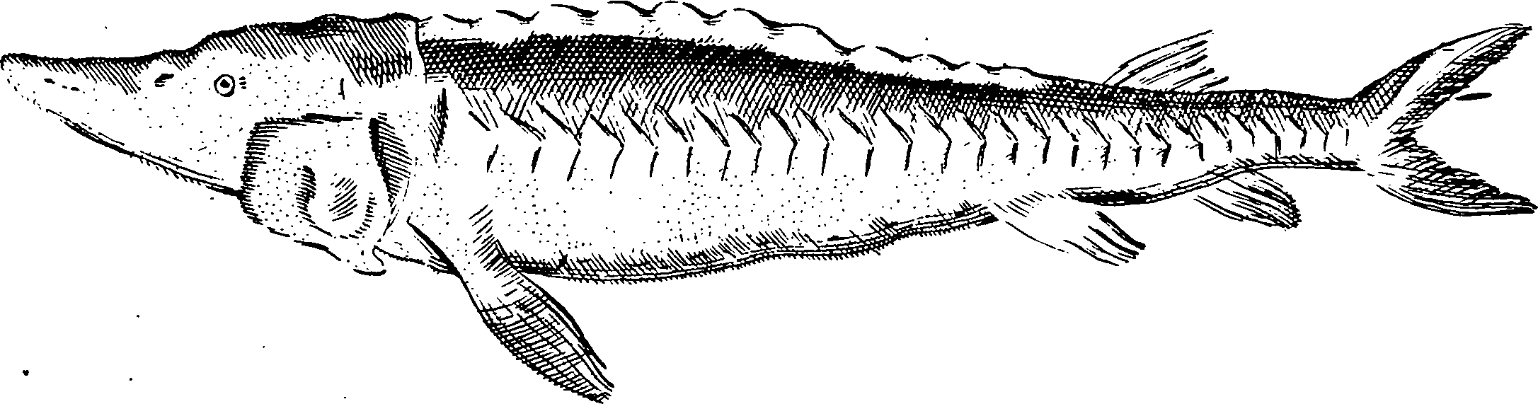 115/115840030001910_0.png