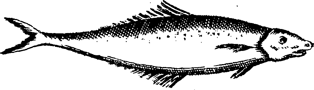 115/115840030001920_1.png