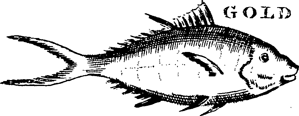 115/115840030001920_2.png