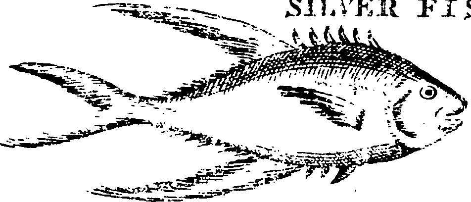 115/115840030001920_3.png