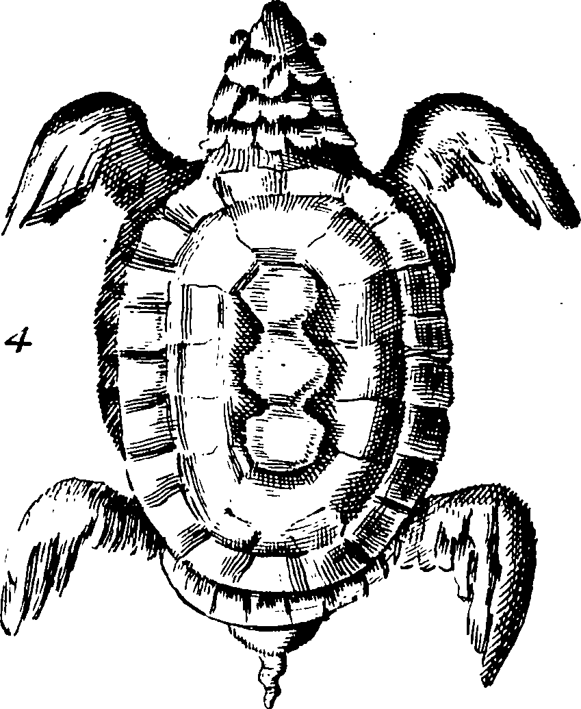 115/115840030001950_0.png