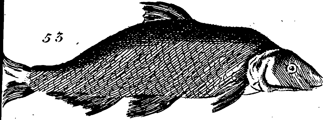 115/115840030001950_1.png