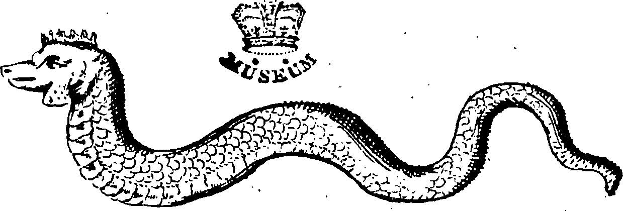 115/115840030001960_0.png