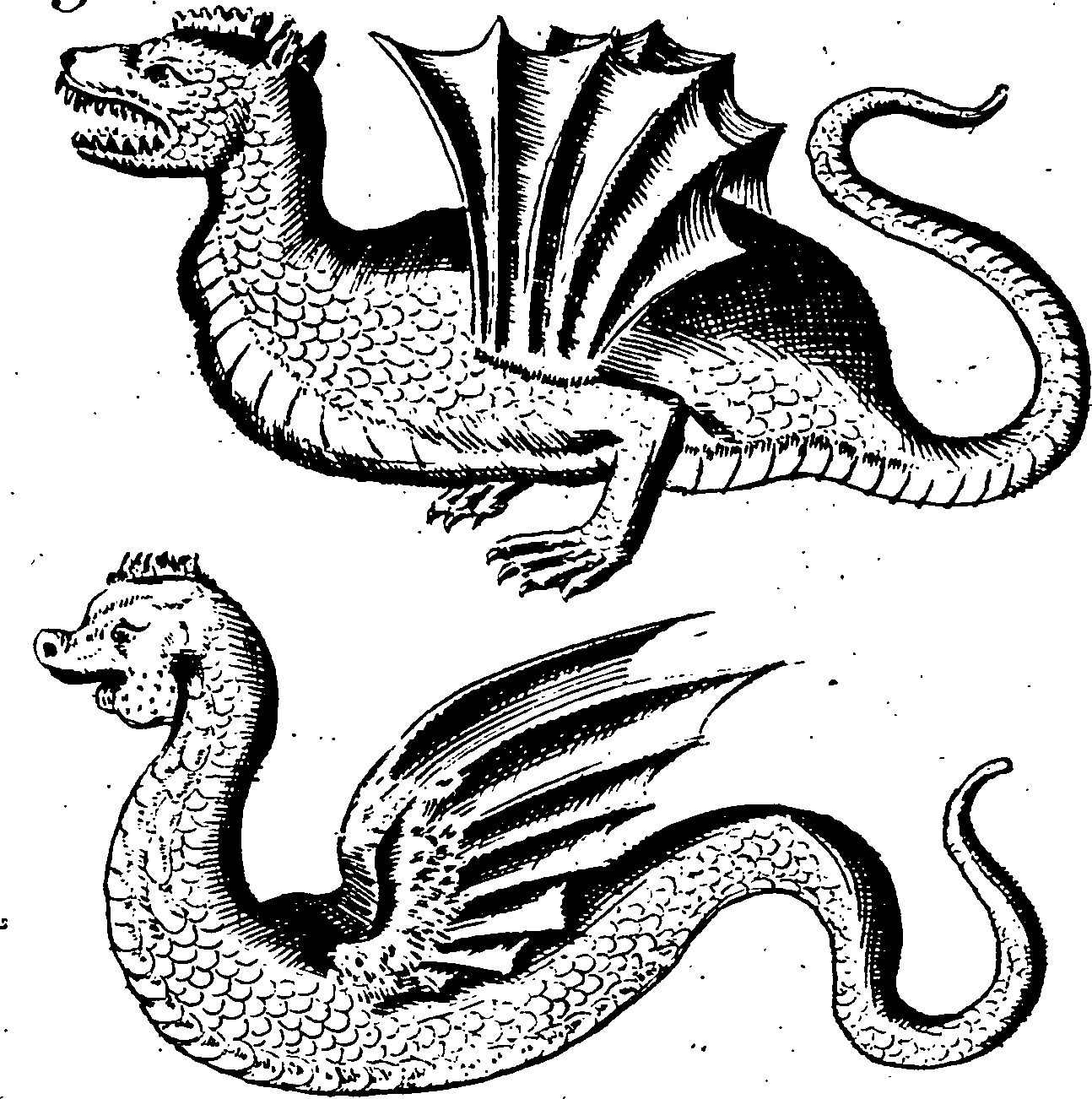 115/115840030001960_1.png