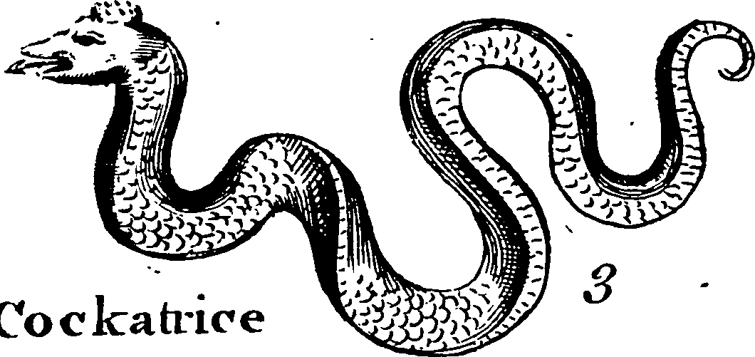 115/115840030001990_2.png