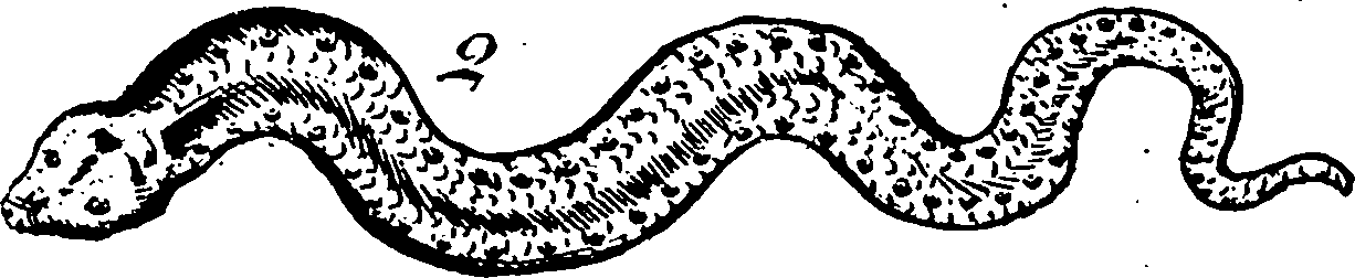 115/115840030001990_3.png