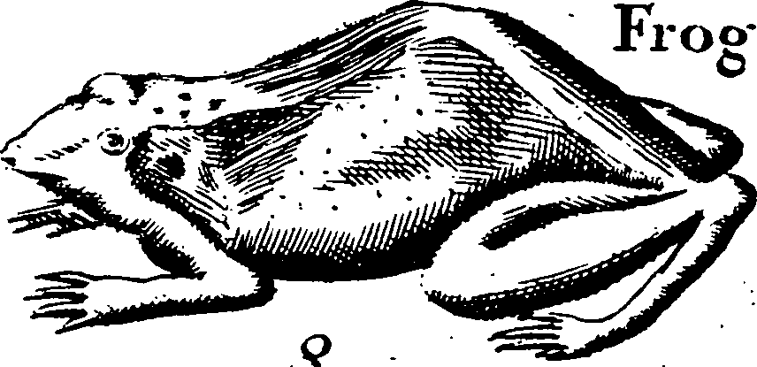 115/115840030002020_1.png