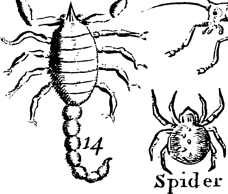 115/115840030002180_1.png