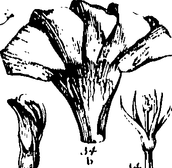 115/115850010008800_0.png