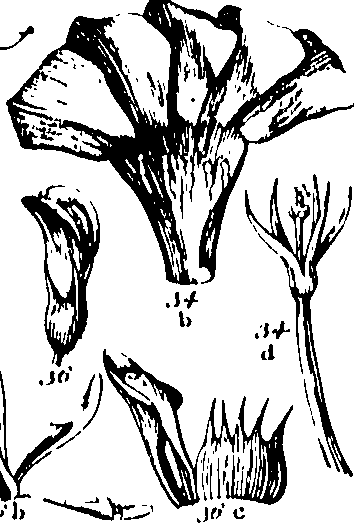 115/115850010008810_0.png