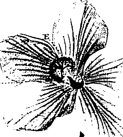 115/115850020100090_0.png