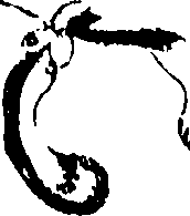 115/115850020100160_0.png
