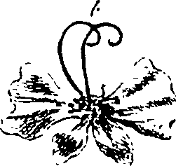 115/115850020100240_0.png