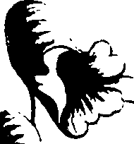 115/115850020100240_1.png