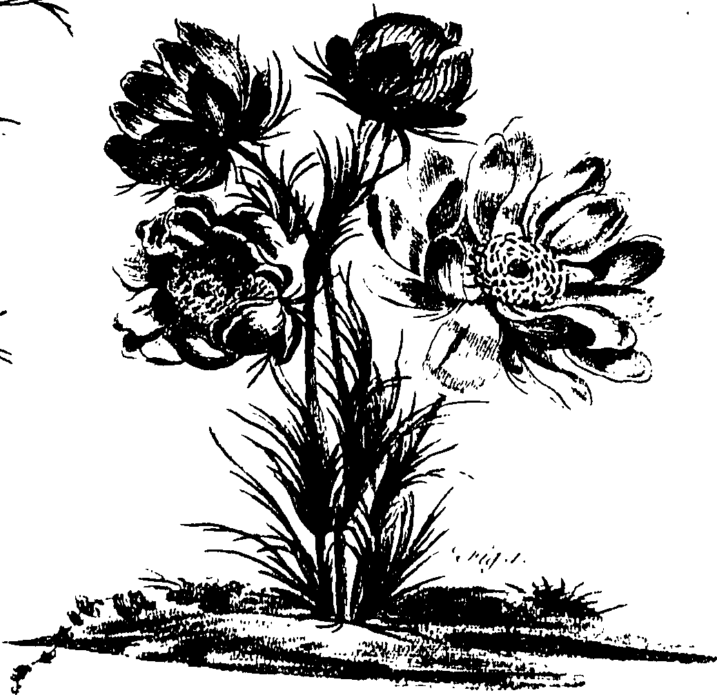 115/115850020100260_0.png