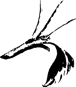 115/115850020100340_0.png