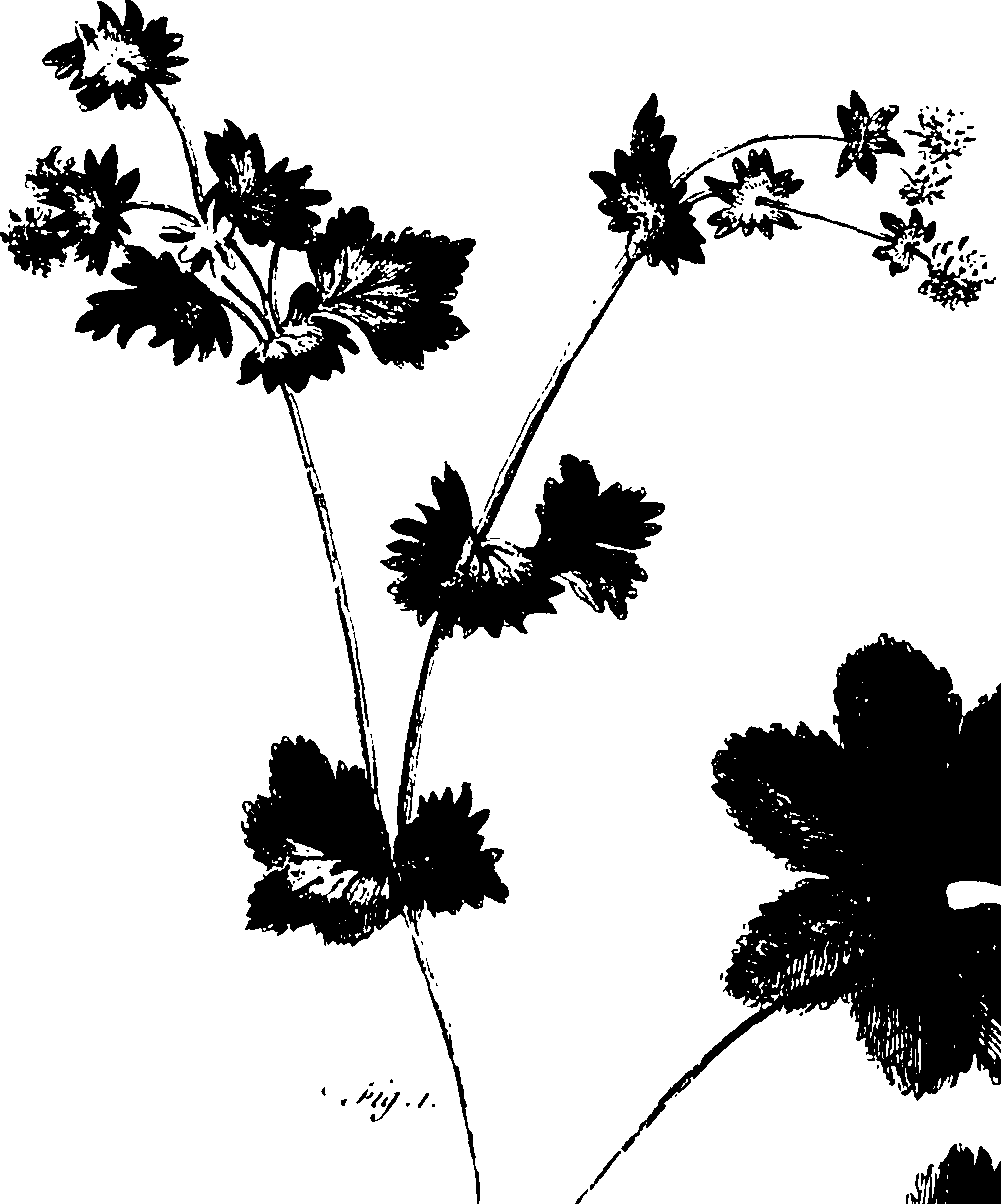 115/115850020100340_1.png