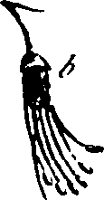 115/115850020100350_0.png